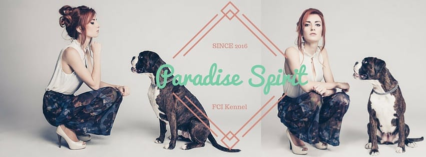 Paradise Spirit FCI