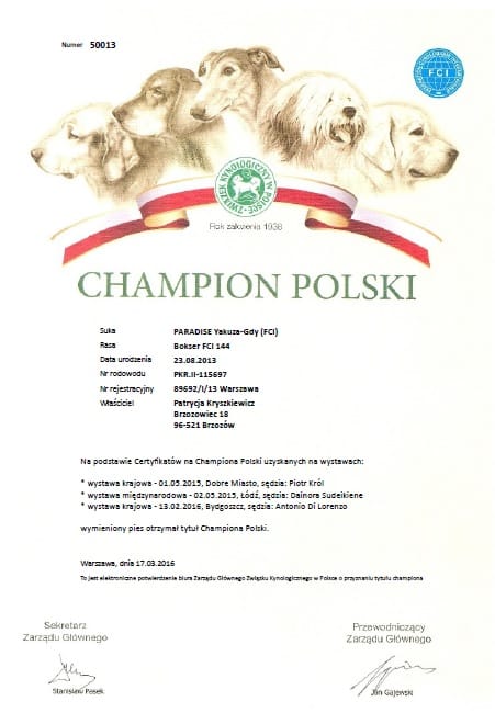 Champion Polski PARADISE