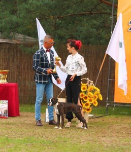 Euphoria BEST MINOR PUPPY on Centraleuropean Boxer Show, Poland 2017