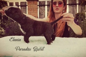ELANIA Paradise Spirit - RESERVED
