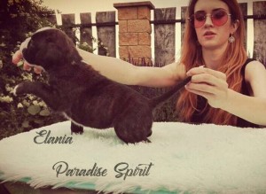 ELANIA Paradise Spirit - RESERVED