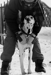 Frodo & me