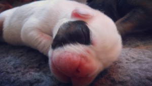 White female 1, day 3
