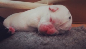 White female 2, day 3