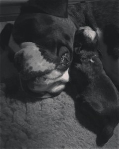 Baby & Mummy